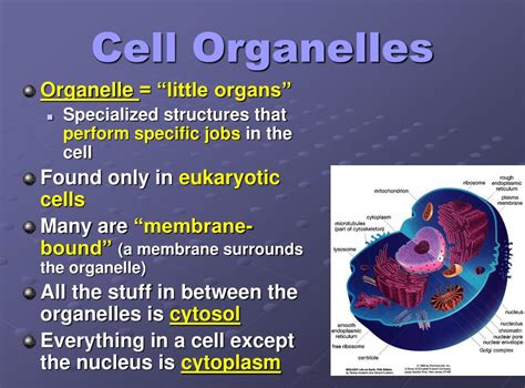 monella meaning|monella significato.